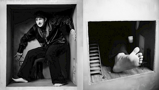 Dillom Libro Por Cesárea